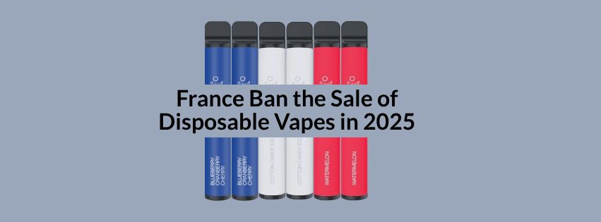 France Ban the Sale of Disposable Vapes in 2025